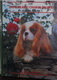 the cavalier king charles spaniel in north america