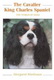 the cavalier king charles spaniel the world of dogs