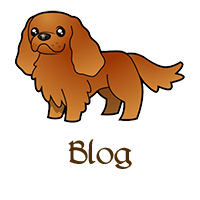cavaliers blog