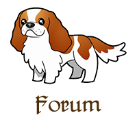 cavaliers forum