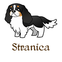cavaliers stranica